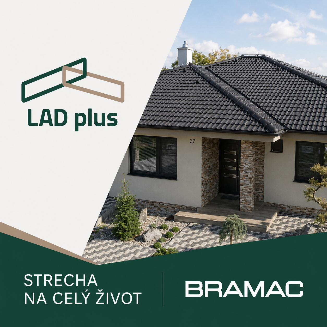 LAD plus