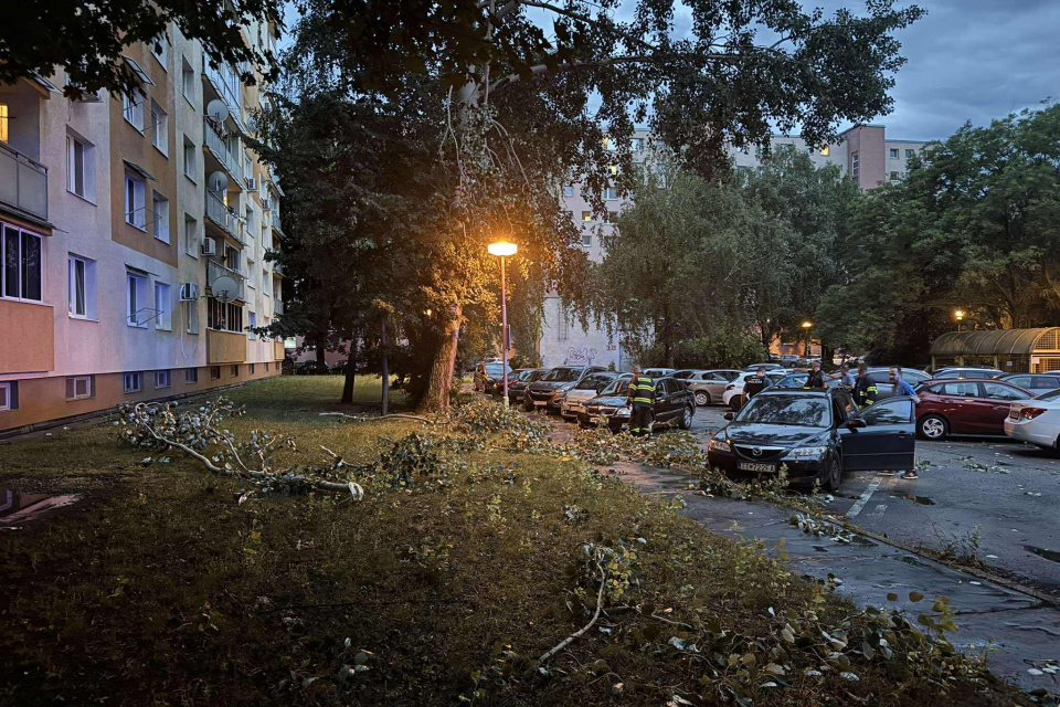 Na autá spadol strom | Foto: Zuzana Benková, Trnavské rádio