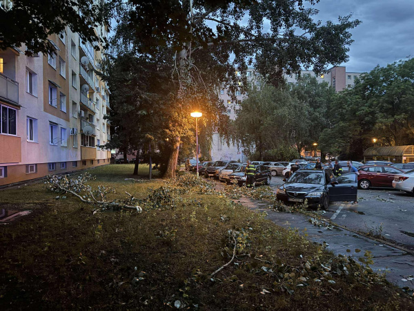 Na autá spadol strom | Foto: Zuzana Benková, Trnavské rádio