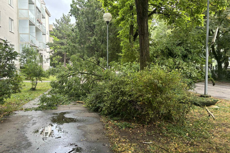 Spadnutý strom je aktuálne aj v Trnave na Podjavorinskej | Foto: Zuzana Benková, Trnavské rádio