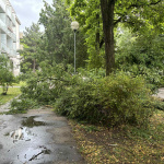 Spadnutý strom je aktuálne aj v Trnave na Podjavorinskej | Foto: Zuzana Benková, Trnavské rádio