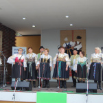 Minulý ročník Špačinského jarmoku | Zdroj: Obec Špačince