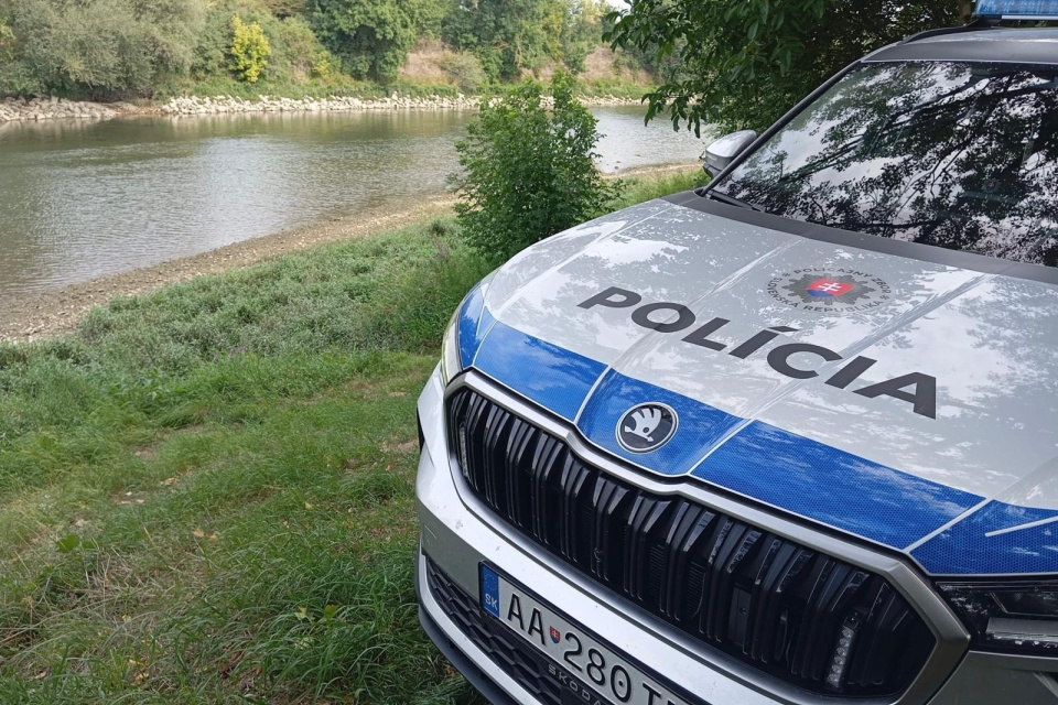 Topiacich sa pokúsila zachrániť dvojica kamarátov. Neúspešne. | Foto: PZSR