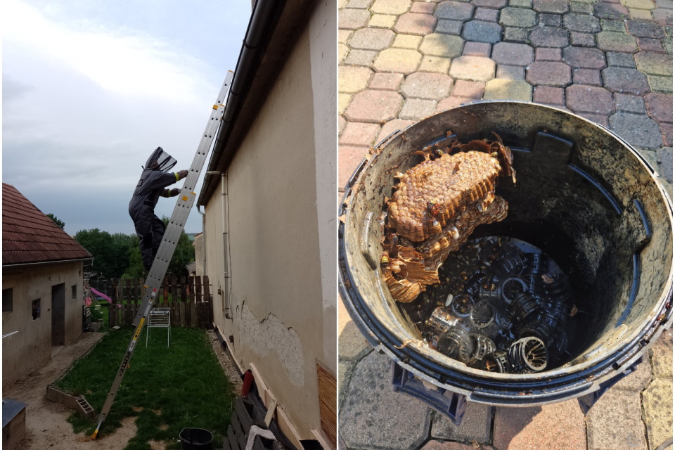 Zásah v Dubovciach a nález v Jaslovských Bohuniciach. | Foto: DHZ Dubovce, Hasiči Jaslovské Bohunice