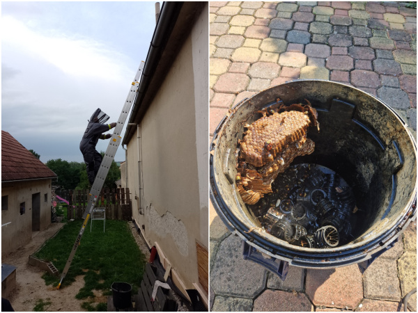 Zásah v Dubovciach a nález v Jaslovských Bohuniciach. | Foto: DHZ Dubovce, Hasiči Jaslovské Bohunice