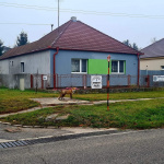 Líška v Bielom Kostole