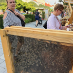 Med v ňom nevznikne, je to len prezentačný úľ  | Foto: dv