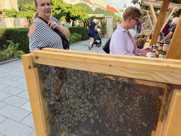 Med v ňom nevznikne, je to len prezentačný úľ  | Foto: dv