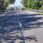 Na ceste sú polámané plasty. | Foto:  Rita Győriová, Trnavsky Kraj Dopravny Servis