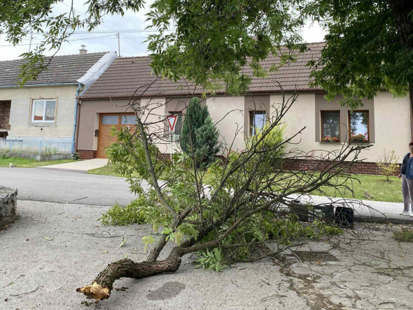 Vietor môže spôsobiť ďalšie lámanie dreviny. | Foto: Iveta Matúšová