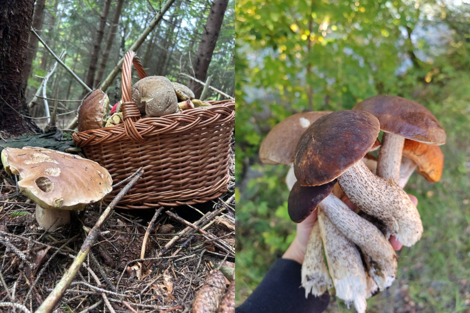 Hubári sa pochválili svojimi úlovkami | Foto: FB, Marcelka K., Zuzana S.