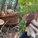 Hubári sa pochválili svojimi úlovkami | Foto: FB,  Marcelka K., Zuzana S.