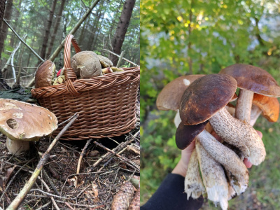 Hubári sa pochválili svojimi úlovkami | Foto: FB,  Marcelka K., Zuzana S.