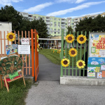 Materská škola do programu Zelenej školy zapojí až ďalšie roky, tentokrát s témou doprava a ovzdušie | Foto: Michaela Martišíková, Trnavské rádio