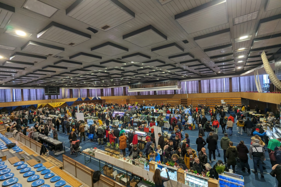 Do Trnavy zavítajú rôzne druhy exotických zvierat | Zdroj: Akvatera