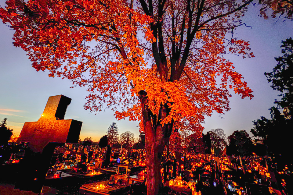 Dušičkové obdobie. Pohľad na Nový cintorín na ulici T. Vansovej v Trnave v roku 2024. | Foto: Pavol Holý, Trnavské rádio