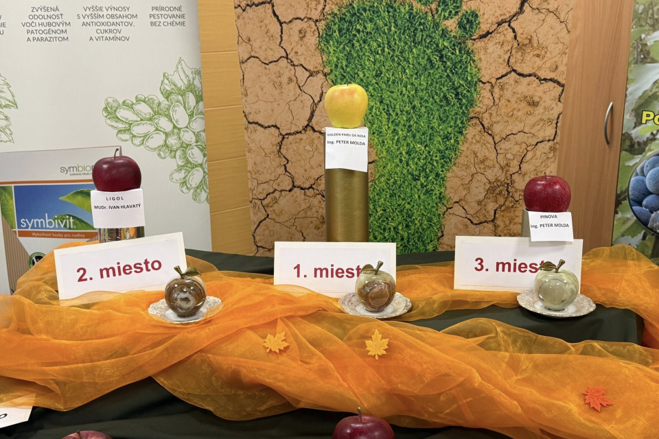Najkrajšie jablko je opäť zo Smoleníc | Zdroj: Fb Peter Molda