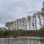 Pokojná rieka bola vhodná aj pre začiatočníkov.