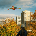 Šarkany vo vzduchu. | Foto: red.