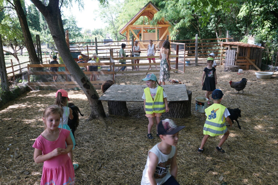 Návštevníci Centra nájdu v priestoroch aj minifarmu | Zdroj: Centrum Usmejsa