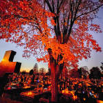 Dušičkové obdobie. Pohľad na Nový cintorín na ulici T. Vansovej v Trnave v roku 2024 | Foto: Trnavské rádio