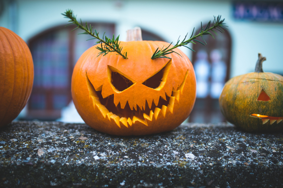 Tekvice zdobíme aj na Slovensku | Foto: Jakub Benko