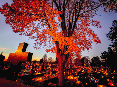 Dušičkové obdobie. Pohľad na Nový cintorín na ulici T. Vansovej v Trnave v roku 2024 | Foto: Trnavské rádio