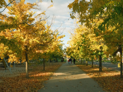 Počasie bude príjemné. Asi ako na tejto jesennej fotografii zo sídliska Prednádražie v Trnave. | Foto: Pavol Holý