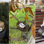 Tekvičky plné výhier ukryté v Trnavskom kraji I Zdroj: Trnavské 