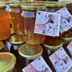 Úhyn včiel je vysoký, kvalitného medu od regionálnych dodávateľov bude zrejme menej I Foto: Archív Trnavského rádia