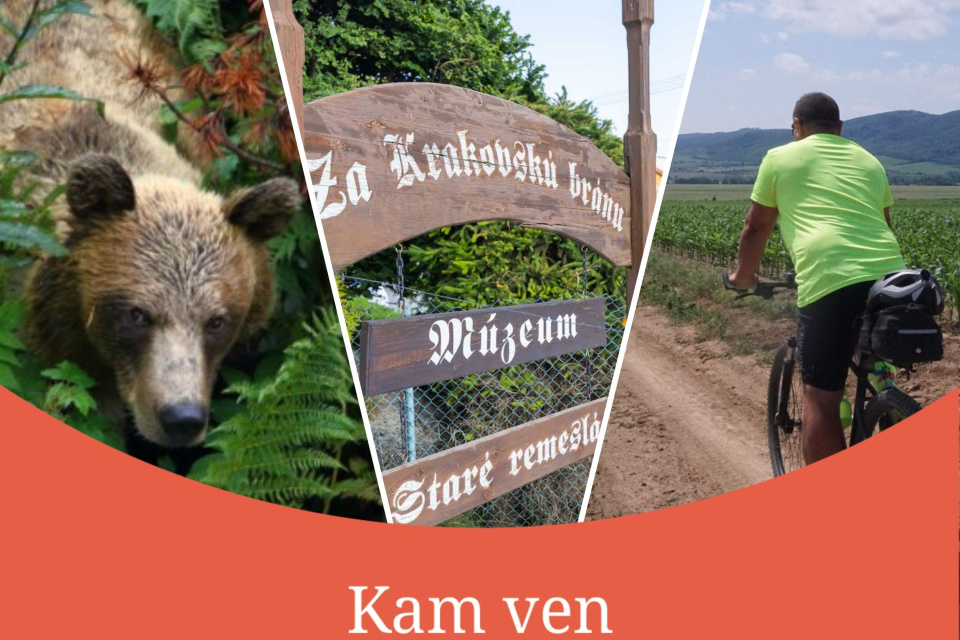 Aký bude váš víkendový program? Navštívite envirofestival, budete spoznávať tradície Krakovian alebo sa na bicykli vyberiete na prehliadku Špačiniec? | Zdroj: donio, región Trnava 