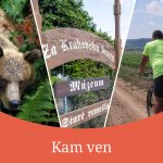 Aký bude váš víkendový program? Navštívite envirofestival, budete spoznávať tradície Krakovian alebo sa na bicykli vyberiete na prehliadku Špačiniec? | Zdroj: donio, región Trnava 