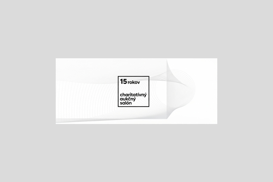15 rokov Charitatívneho aukčného salóna | Foto: appa.sk