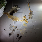 Horel malý svietnik. | Foto: HaZZ