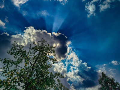 Počasie neprekvapí, snehu sa na Martina nedočkáme ani tento rok | Foto: Dušan Vančo