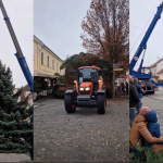 Vianočný stromček zaujal svoje čestné miesto na Winterovej ulici | Zdroj: FB mesto Piešťany (mierne úpravy obrázku v pixlr) 