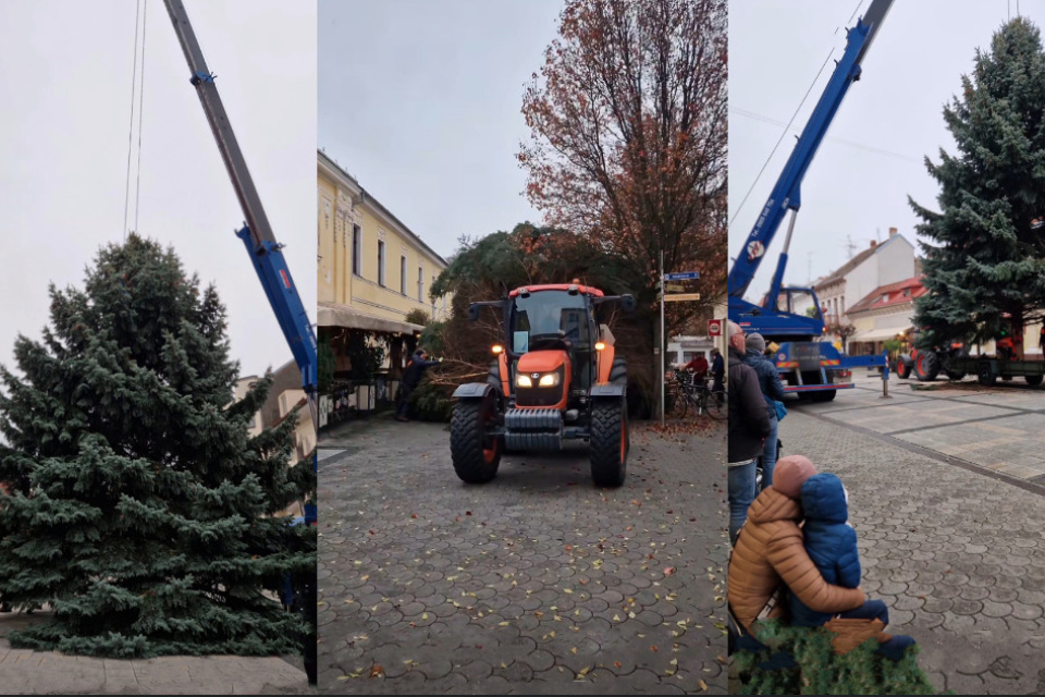 Vianočný stromček zaujal svoje čestné miesto na Winterovej ulici | Zdroj: FB mesto Piešťany