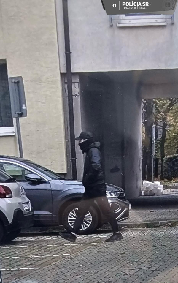 Fotografie zazdieľala polícia na svojom FB | Foto: Polícia SR - Trnavský kraj 