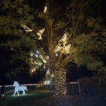 Výstava Story od Lights oživí príbehy až po zotmení | Foto: Michaela Martišíková, Trnavské rádio