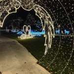 Park ponúka veľa fotogenických miest | Foto: Michaela Martišíková, Trnavské rádio