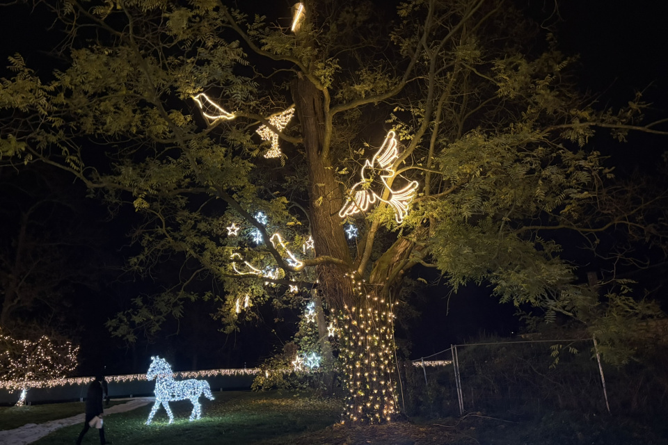 Výstava Story od Lights oživí príbehy až po zotmení | Foto: Michaela Martišíková, Trnavské rádio