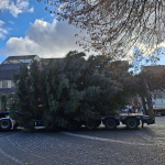 Smrek daroval pán Miroslav Laho | Foto: Trnavské rádio