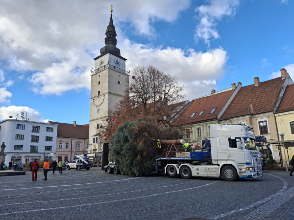 Tento rok ho ozdobia dvojnásobným počtom svetielok | Foto: Trnavské rádio