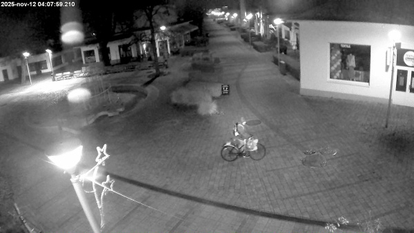 Piešťany zverejnili páchateľa | Zdroj: Mesto Piešťany