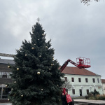 25ae9855-5ea6-45d5-91df-fea41e4357b0