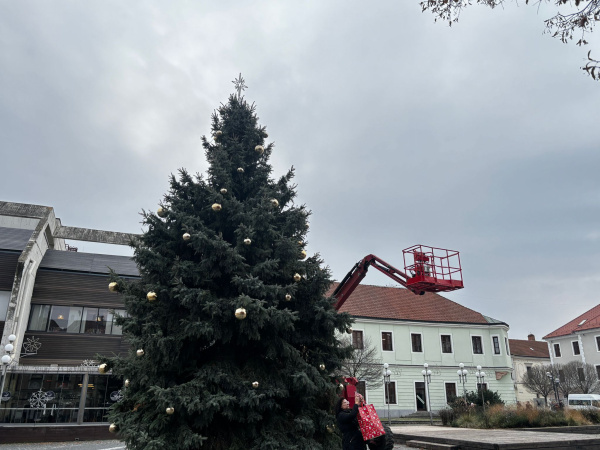 25ae9855-5ea6-45d5-91df-fea41e4357b0