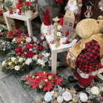 Výber adventných vencov je široký | Foto: Hadzima Plant