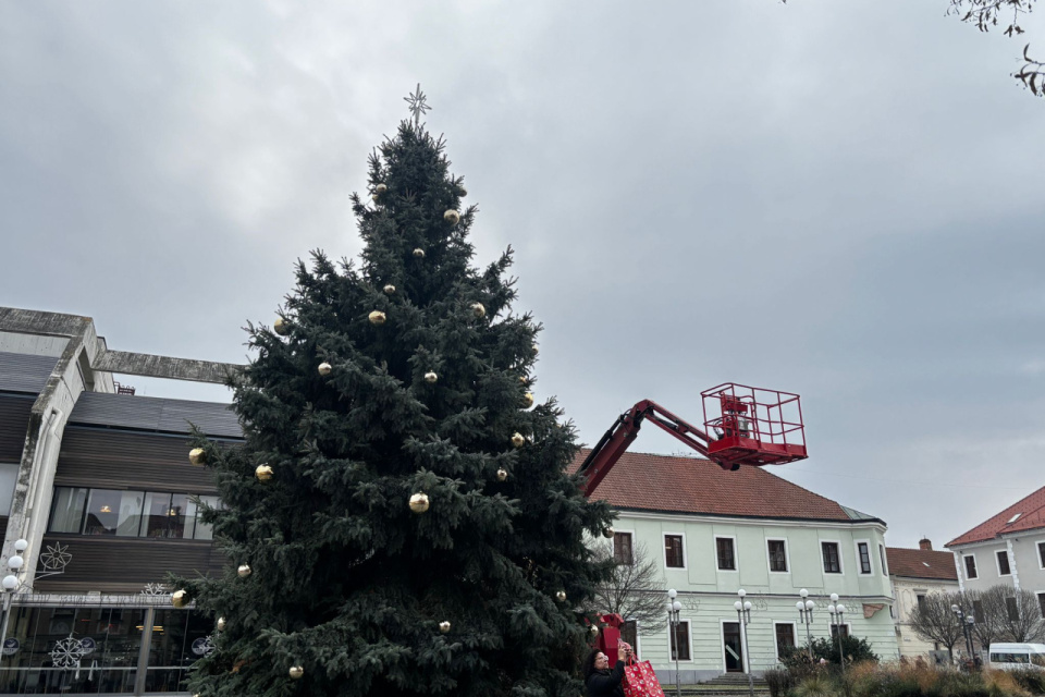 Stromček má už aj svoje ozdoby | Zdroj: Trnavské rádio