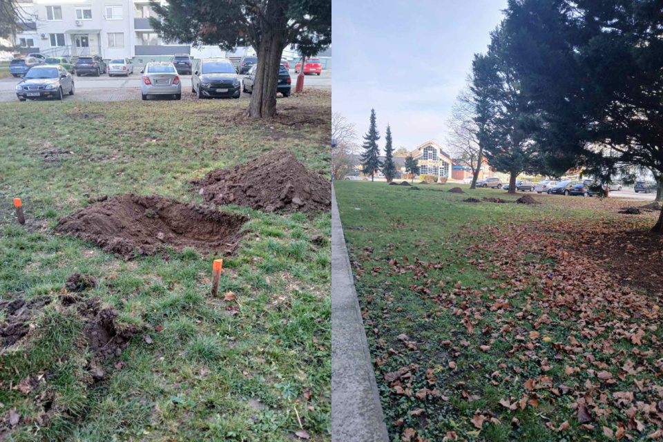 V Galante pribudne zeleň | Zdroj: Mesto Galanta