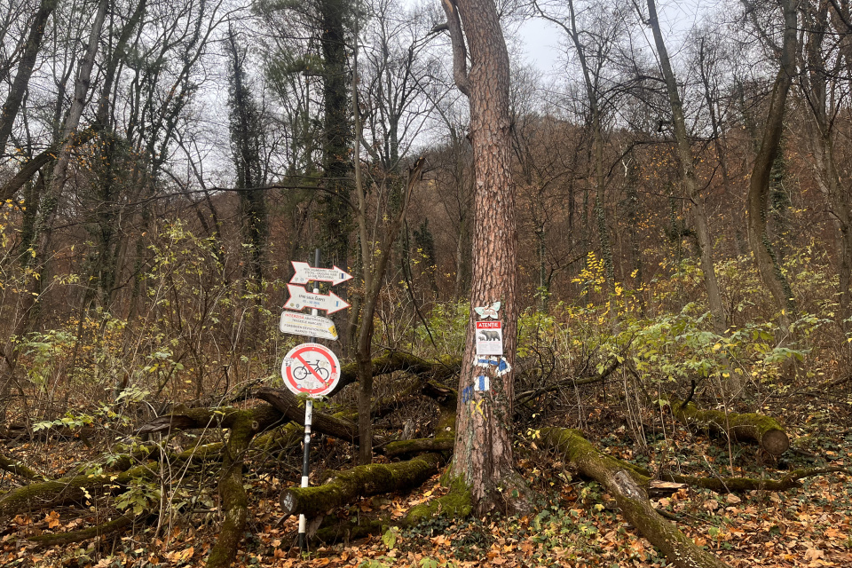 Cesta k lanovke je vyznačená upozorneniami pred medveďmi I Zdroj: Alexandra Štofirová, Trnavské rádio 